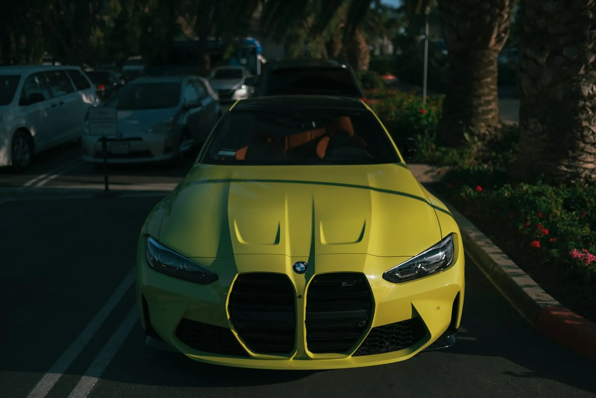 Jasnożółte BMW M4 z USA, ujęcie od przodu na parkingu wśród palm