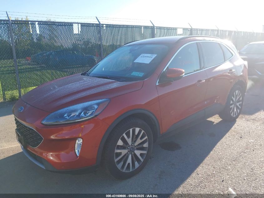 Czerwony Ford Escape widok z przodu i boku przy ogrodzeniu z siatki, w słoneczny dzień.