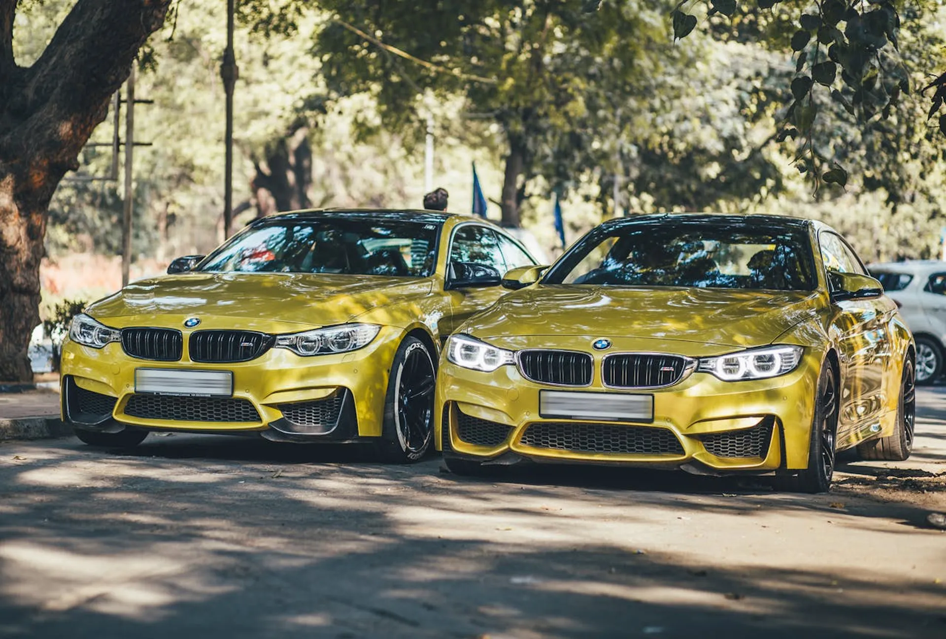 Dwa żółte samochody BMW zaparkowane przy ulicy w cieniu drzew